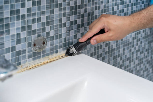 Best Emergency Mold Removal  in West Bend, WI