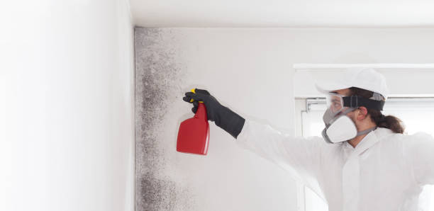 Best Mold Testing  in West Bend, WI